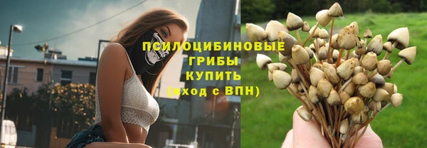 spice Балабаново