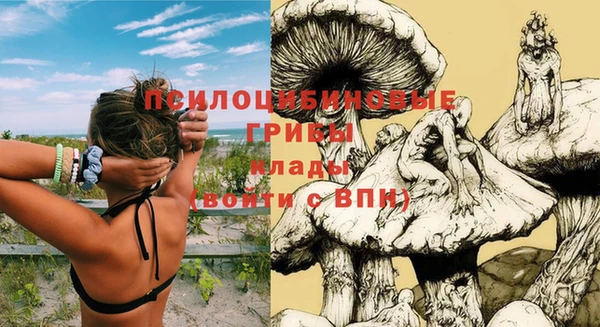 спайс Балахна